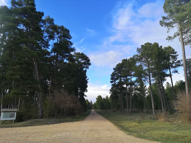 Cruce de caminos. A la izquierda, la Parcela Reserva.