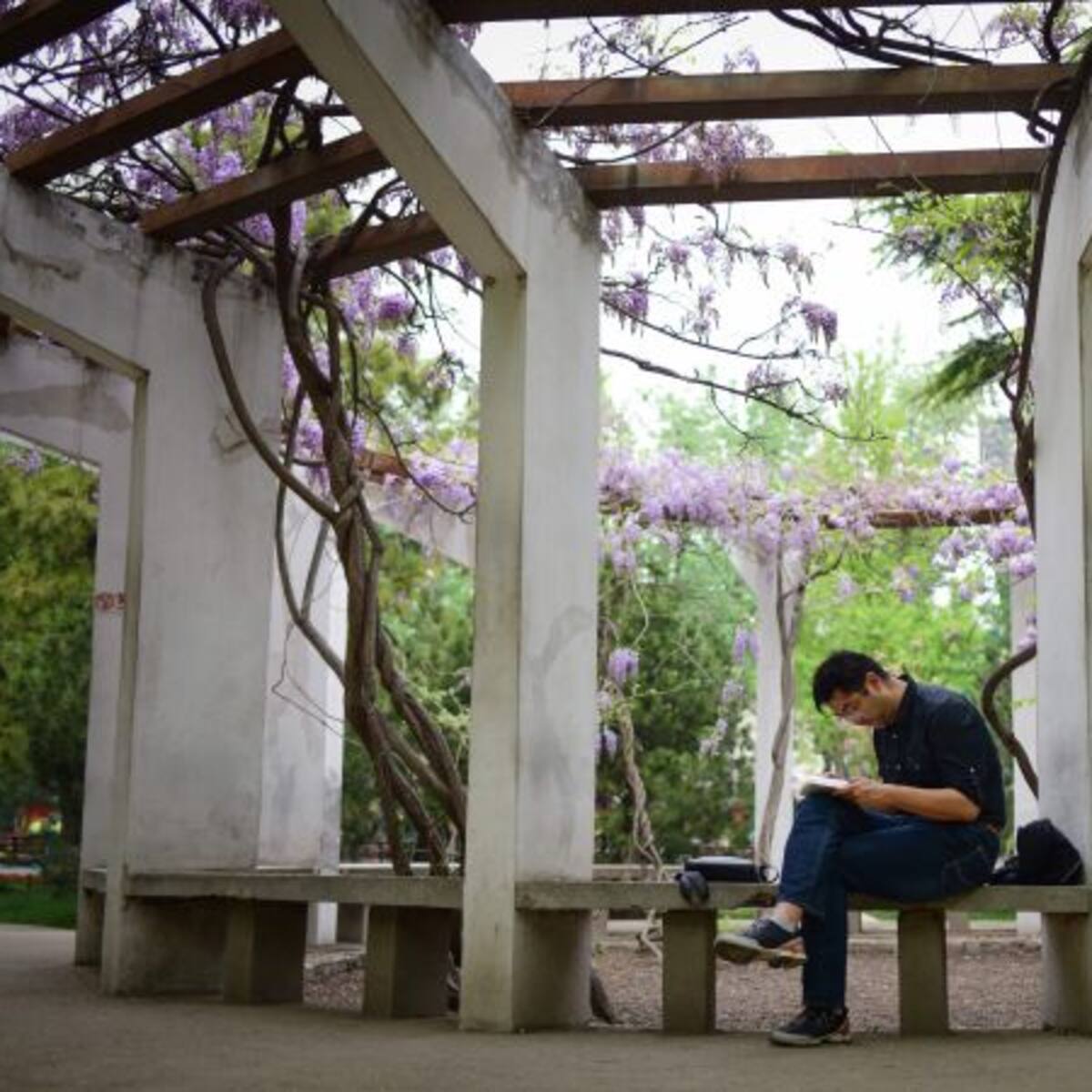 Getafe se llena de poesía
