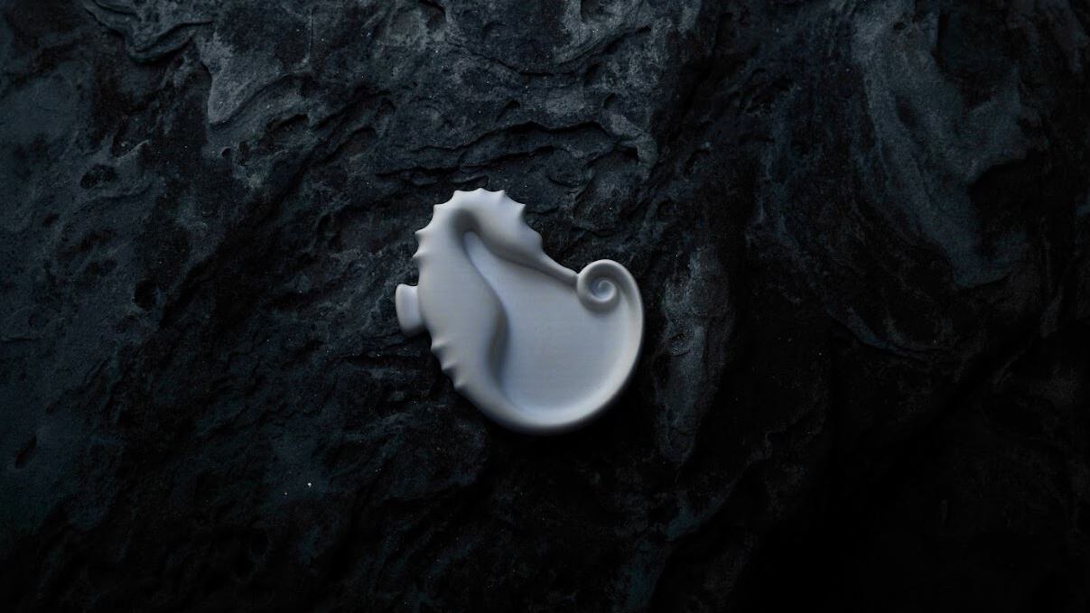 Una vajilla de inspiración marina "visibiliza las especies más amenazadas del Planeta"