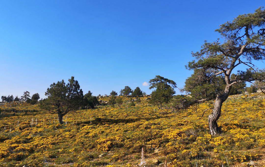 Ruta hasta la cueva del Boquerón en la Serranía de Cuenca.