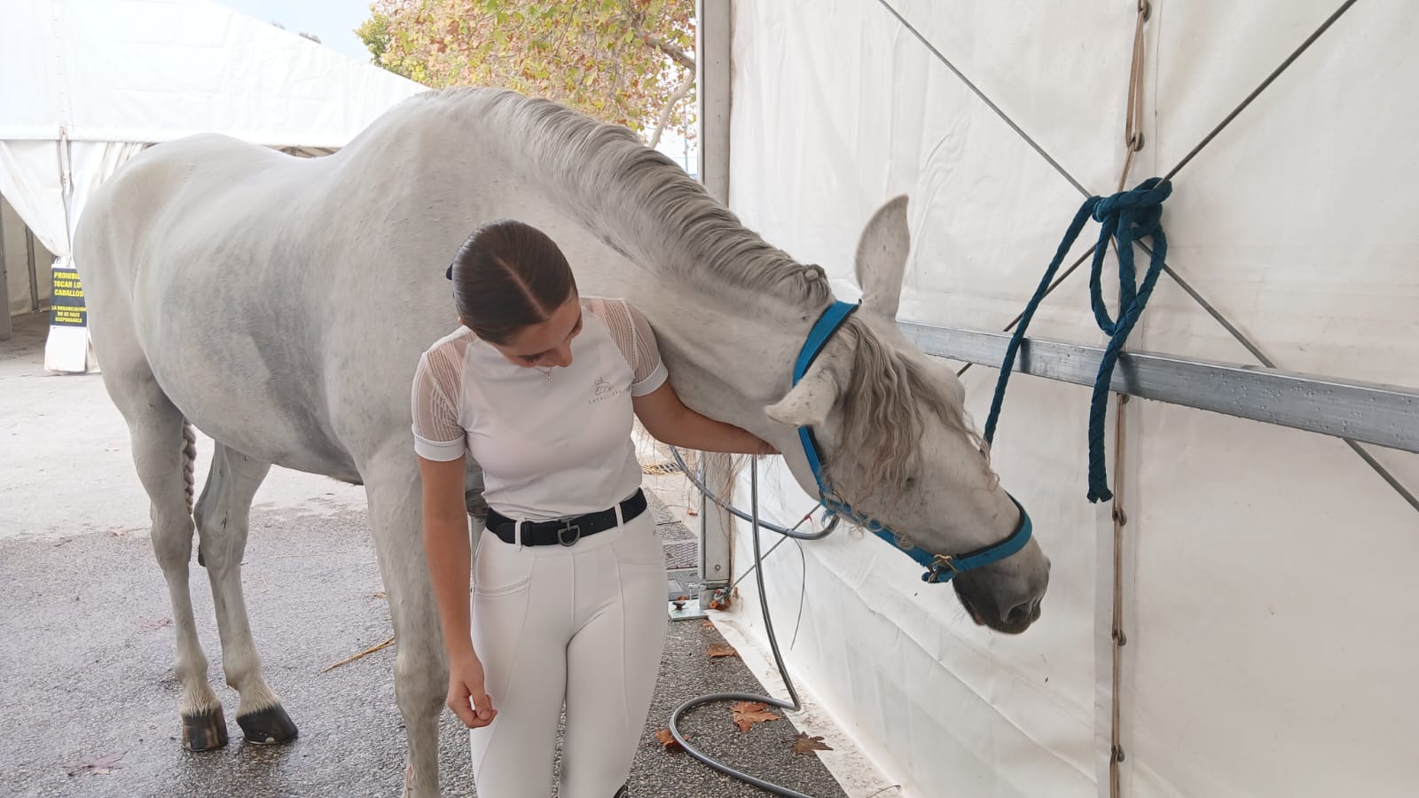 Estela con su caballo Velero
