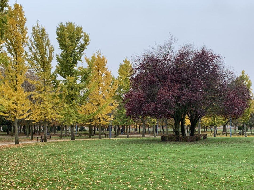 El parque de La Granja aspira a obtener la bandera verde 