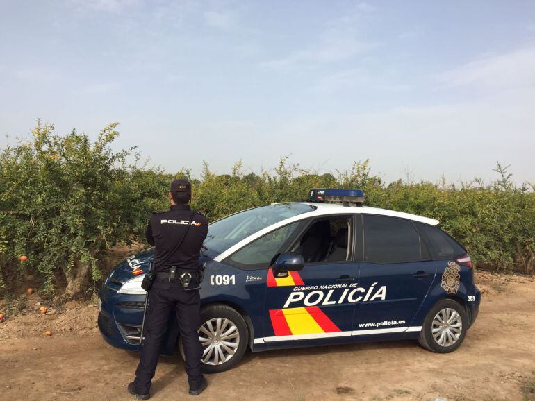 Policía Nacional en el campo de Elche