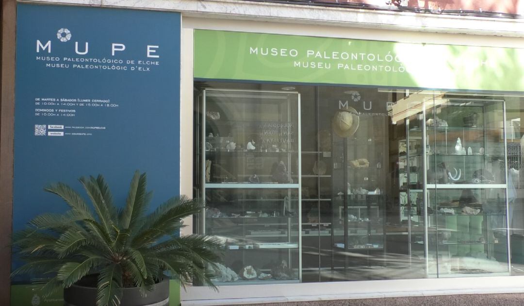 Imagen del Museo Paleontológico de Elche (MUPE) en una imagen de archivo
