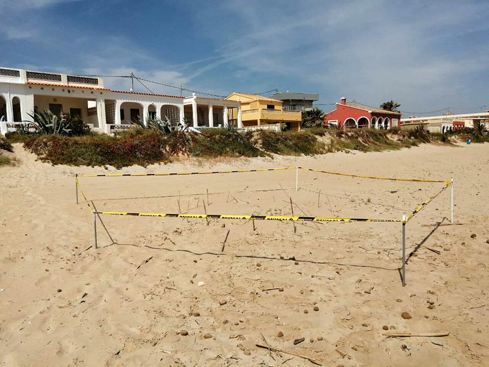 Señalización de un punto de nidificación del chorlitejo en Les Deveses, en Dénia.