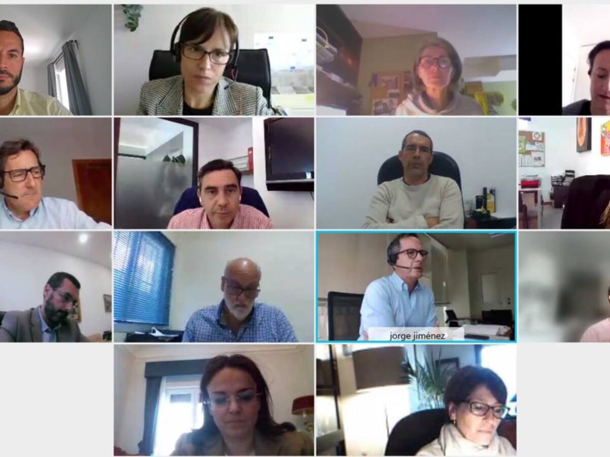 La Línea insiste ante Red Eléctrica en rechazar la implantación de la subestación en el municipio