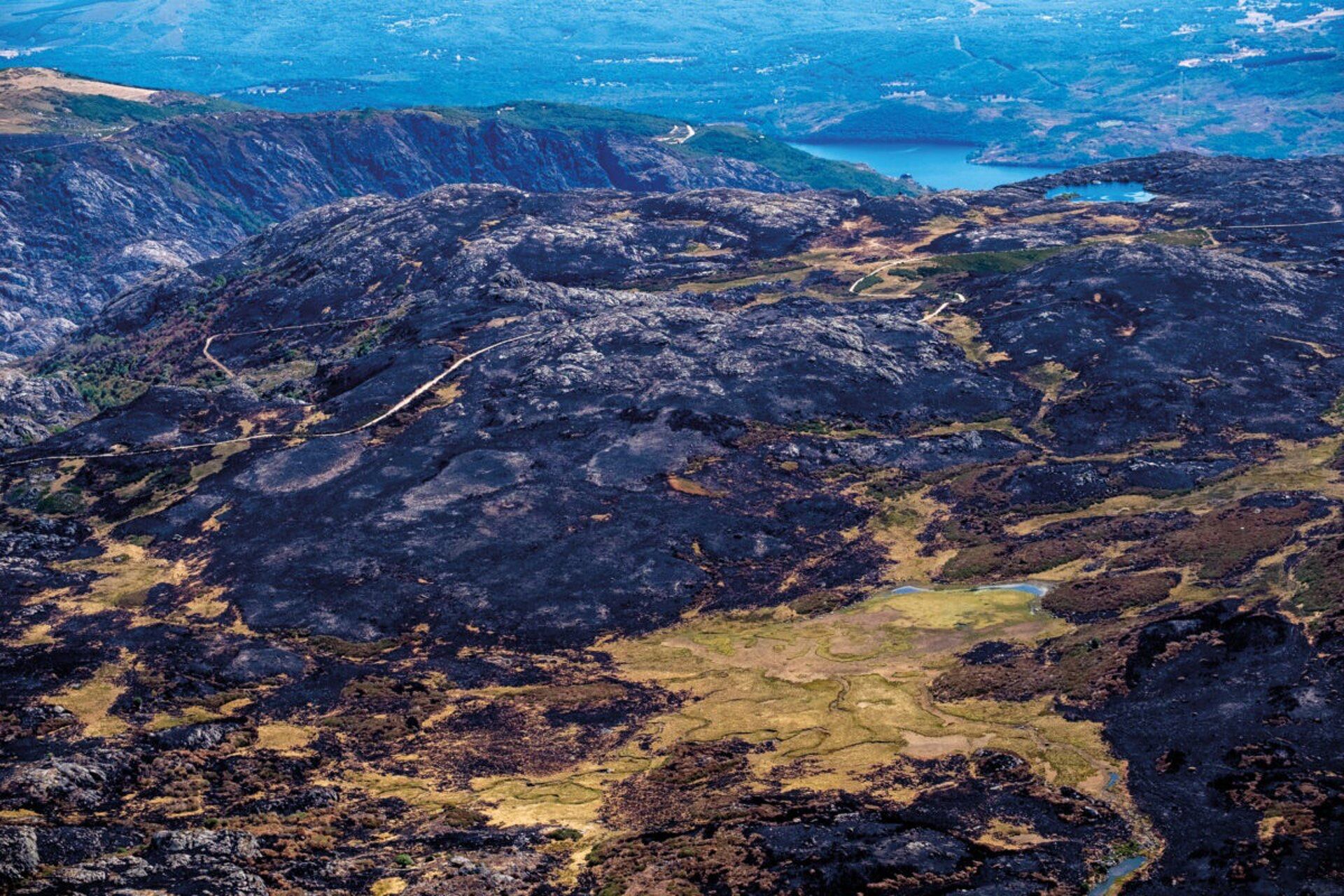 Aftermath of fires in Sanabria Lake Natural Park, the Segundera and Porto Mountain Ranges, and Cárdena Reservoir, in Zamora province. Wildfires were in more than 20,000 hectares since August 14, after being sparked by a lightning strike from a storm.
A 16-day heatwave has exacerbated the fires that have ravaged Spain, making this summer one of the worst on record.
This is the toll of the flames in recent weeks, which have destroyed almost 400,000 hectares. Greenpeace, with the help of photographer Pedro Armestre, has documented the extent of the destruction from the air, even reaching areas that have not been photographed until now.
La presencia de una ola de calor de 16 días de duración ha agravado los incendios que han asolado España, convirtiendo este verano en uno de los peores de la historia desde que hay registros. Este es el balance de las llamas de estas últimas semanas, que han arrasado casi 400.000 hectáreas. Greenpeace, de la mano del fotógrafo Pedro Armestre, ha documentado desde el aire la magnitud de la destrucción, llegando incluso a zonas no fotografiadas hasta ahora.
Incendios de Porto. Más de 20.000 hectáreas calcinadas desde el pasado 14 de agosto, tras iniciarse a causa del rayo de una tormenta.