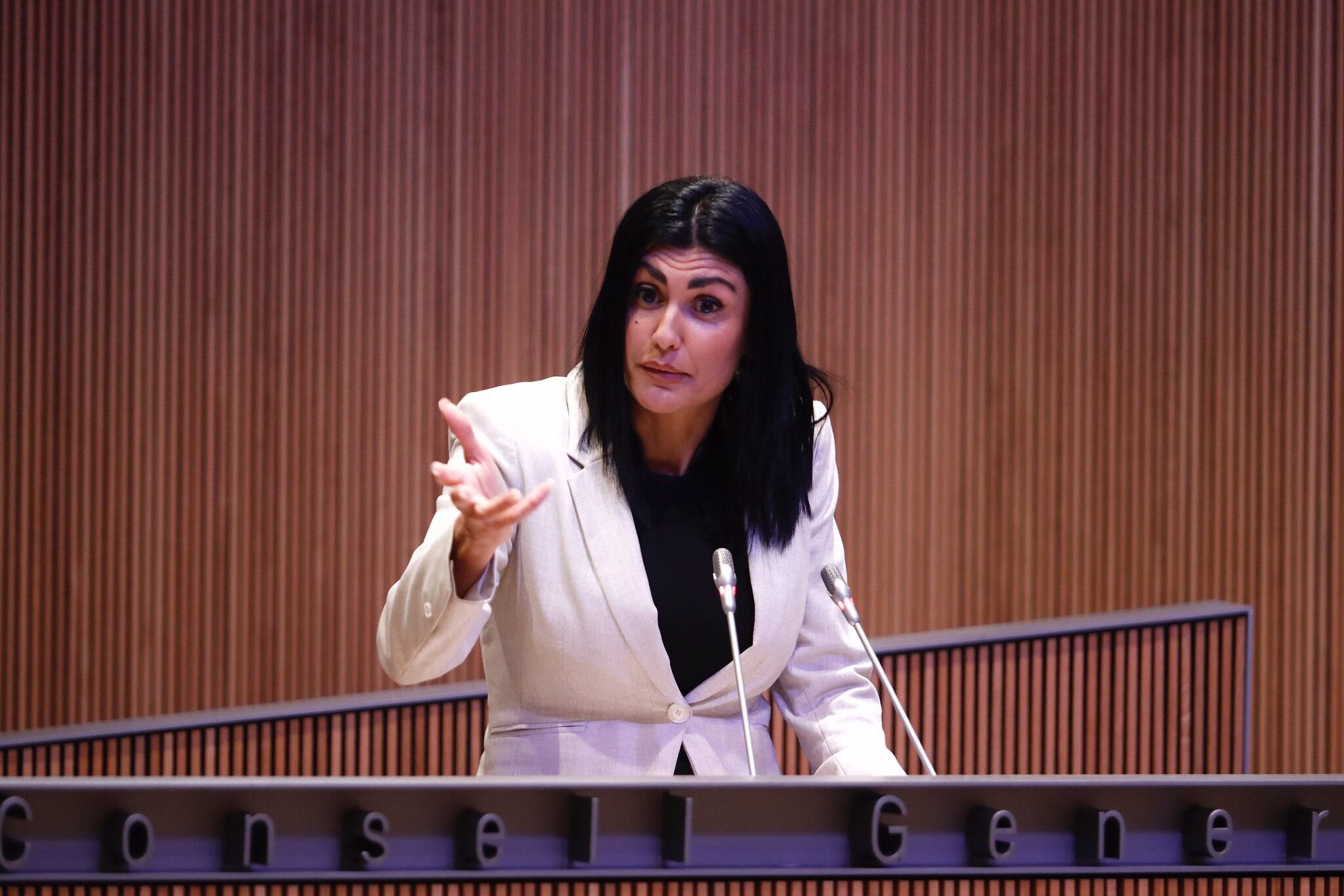 La presidenta del grup parlamentari d&#039;Andorra Endavant, Carine Montaner, en una intervenció al Consell General.