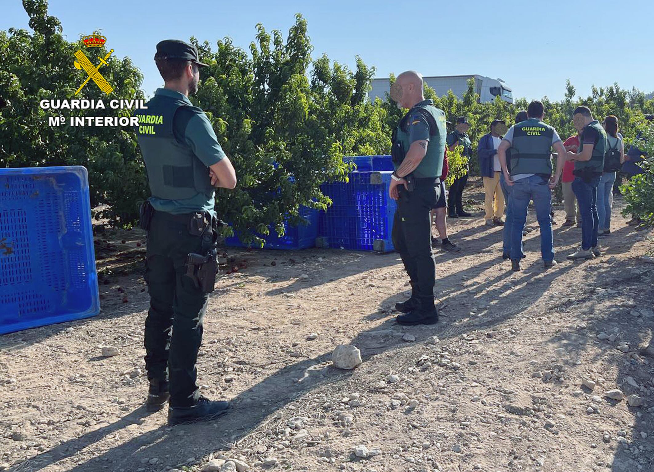 La Guardia Civil inspecciona cerca de una treintena de explotaciones agrícolas y detiene/investiga a 16 personas por emplear a trabajadores extranjeros de forma irregular