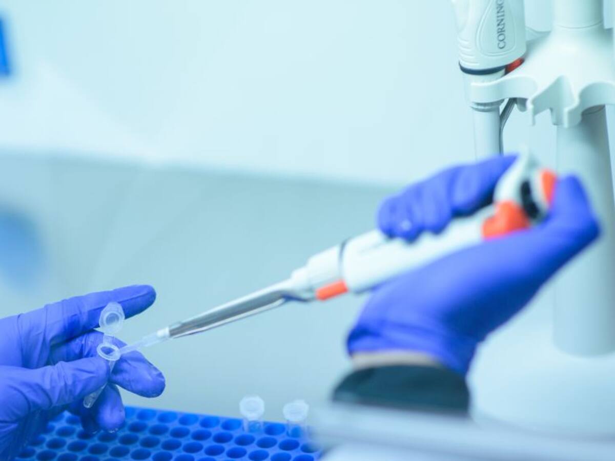 Casado confirma que el "objetivo" es pasar a fase 1 desde el 25 de mayo