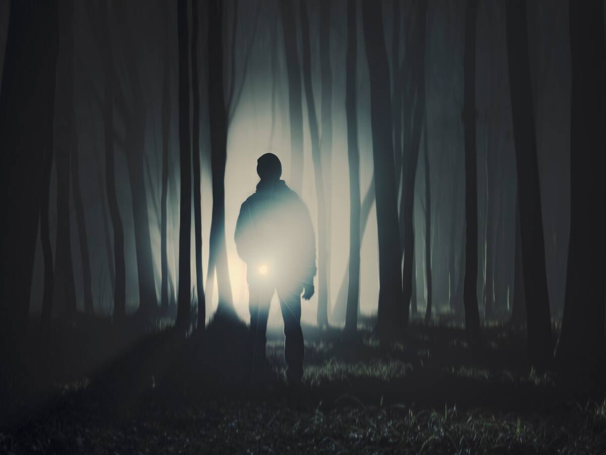 Maruja Torres: "Vender humo sin hacer arte"