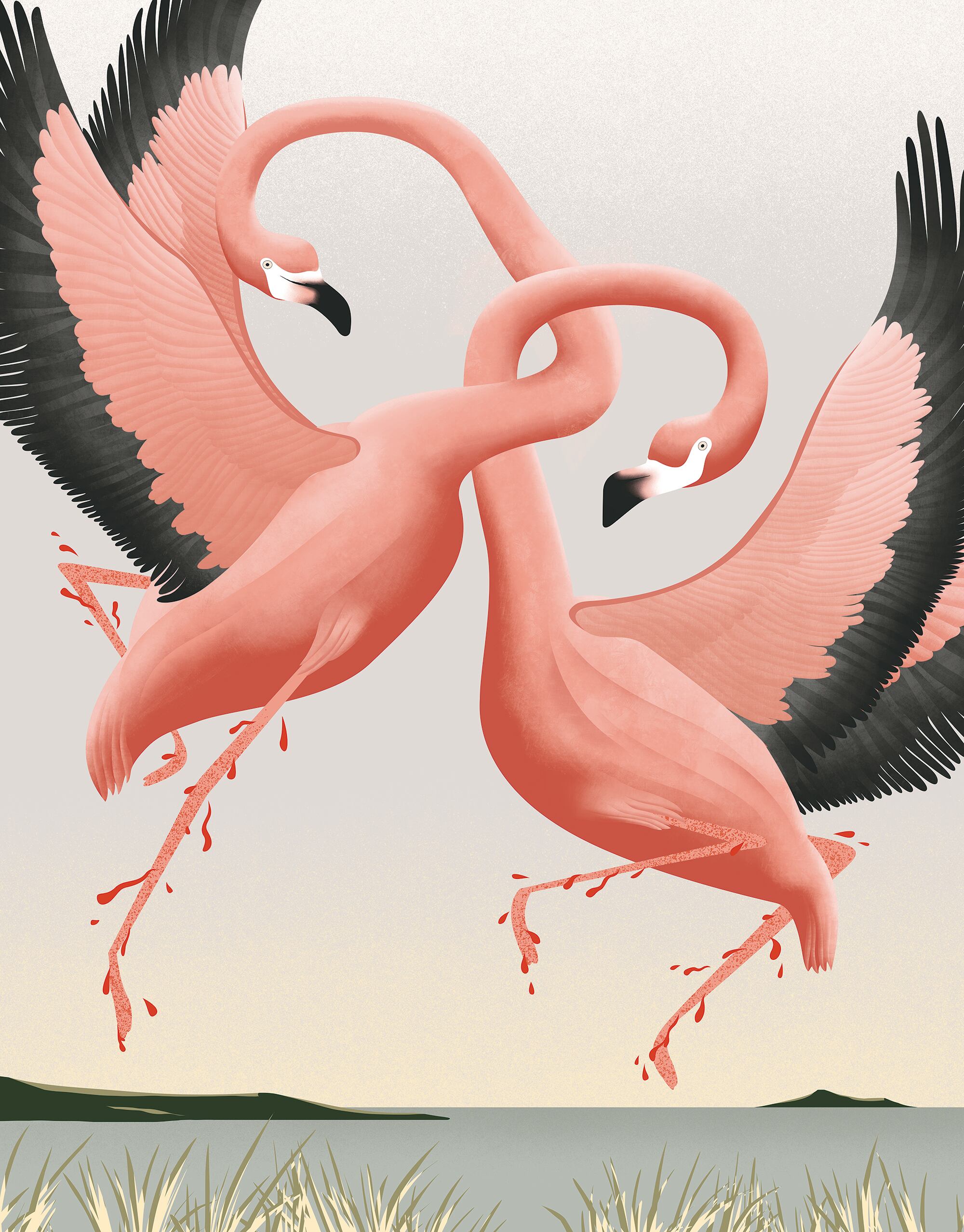 Cuentos de la selva- Ilustración de Ana Jael