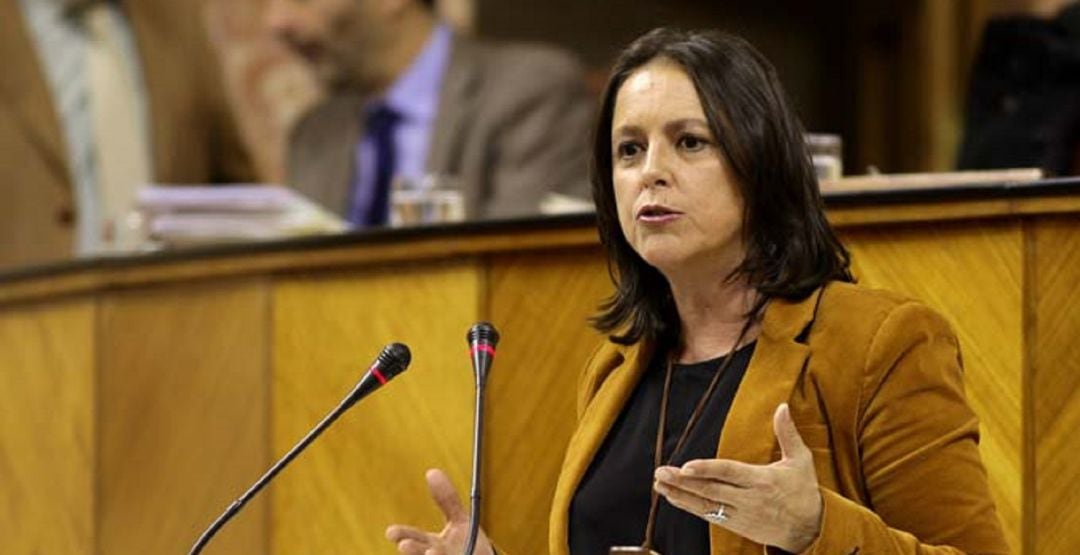 La nueva viceconsejera de Salud y Familias, Catalina García, en una imagen de archivo durante una intervención en el Parlamento Andaluz.