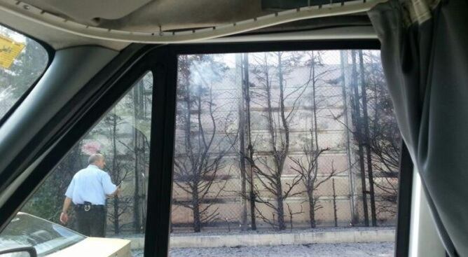 Un testimoni ens ha fet arribar aquesta imatge d'un dels incendis