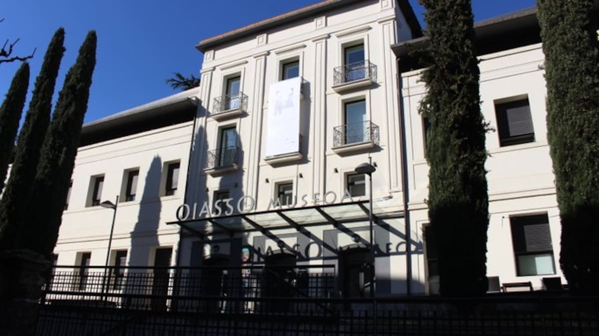 Aizpea Goenaga, directora del Museo Oiasso: