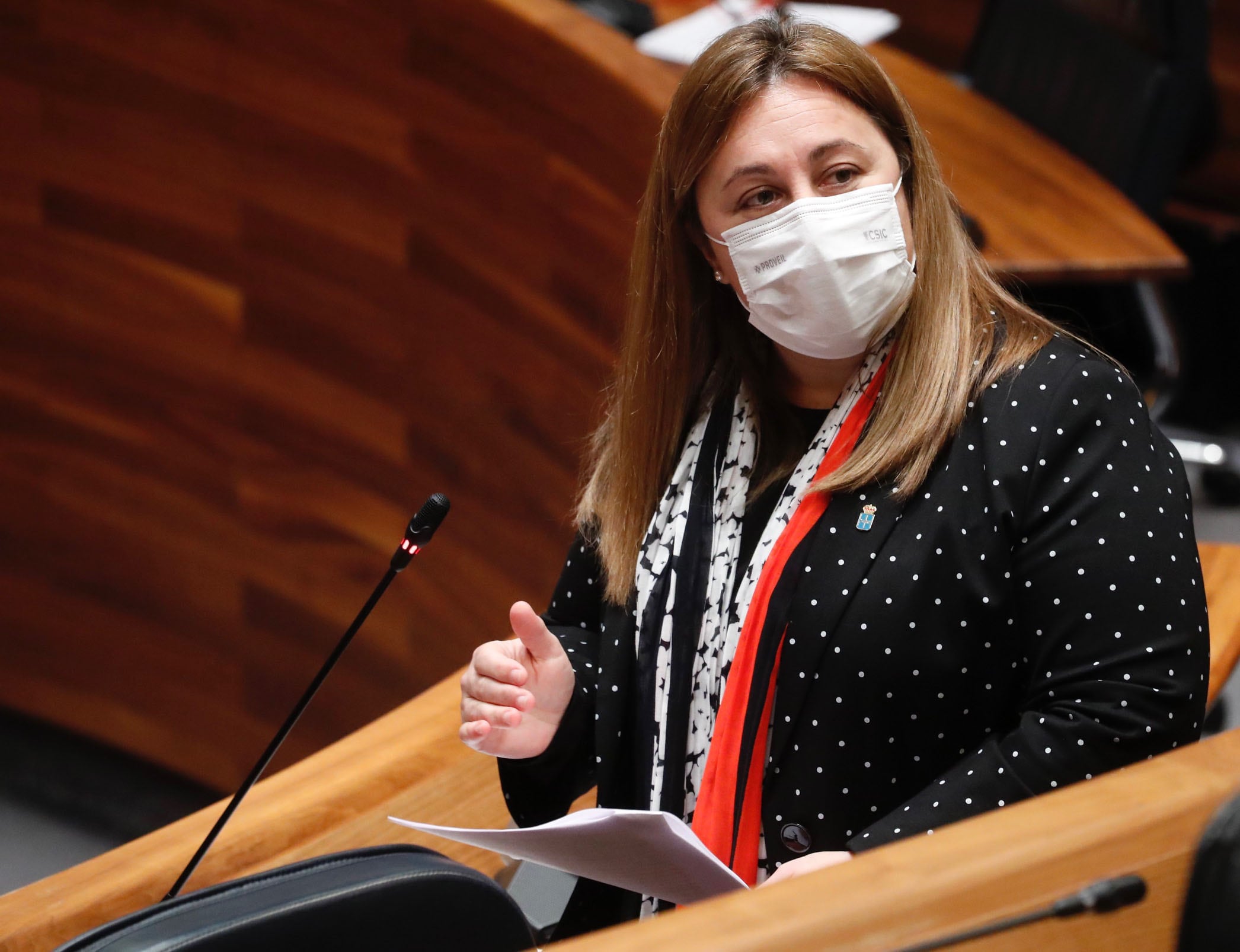 La Consejera de Educación, Lydia Espina, responde preguntas en el Parlamento regional