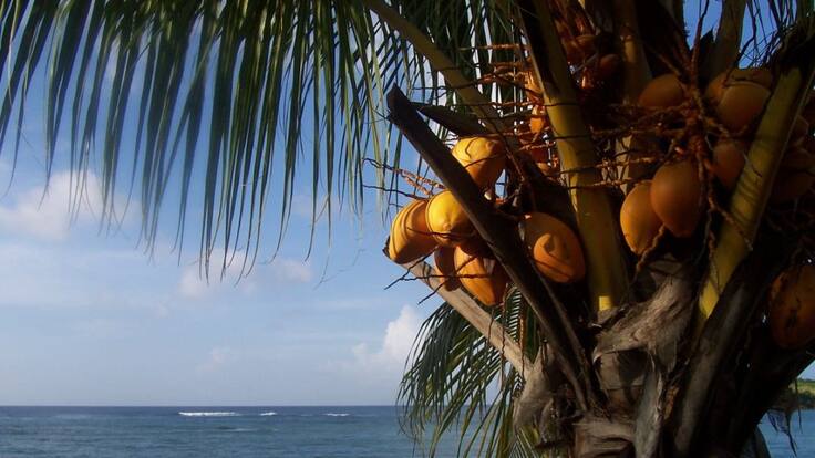 Punto de Fuga 13 de octubre