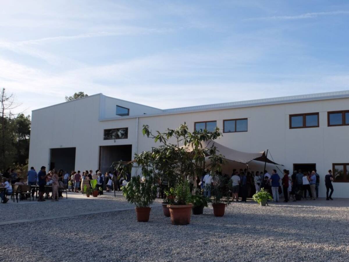 Opciones de enoturismo en la Ribera para este fin de semana