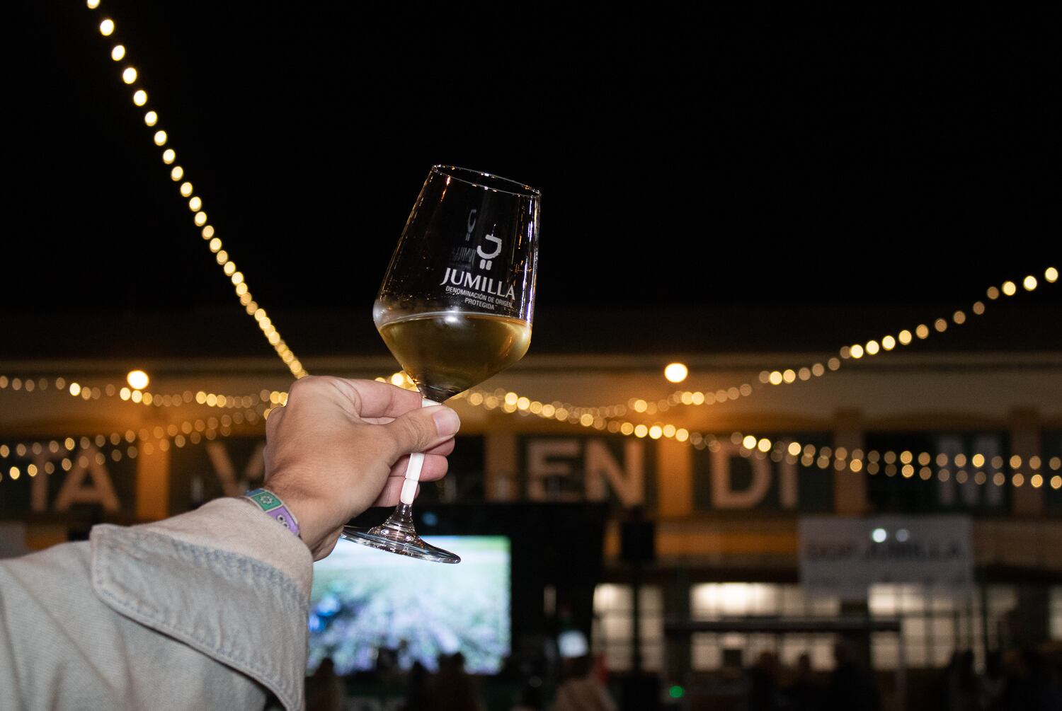 Feria del Vino y el Enoturismo &quot;Matavendimia&quot; de Jumilla