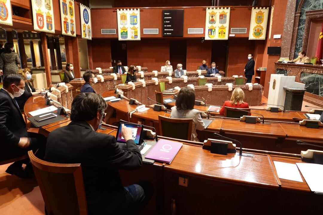 Imagen de la reunión de la Diputación Permanente