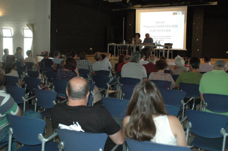 Gal del sur de Alicante