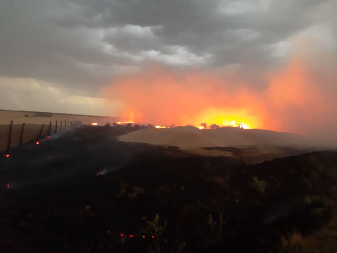 El incendio de Cedillo de la Torre del pasado día 23 de julio movilizó a multitud de personas, lo que hizo posible sofocar el incendio con prontitud