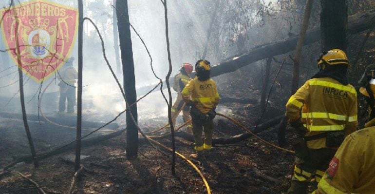 Los bomberos de Andújar controlaron el incendio producido en las inmediaciones del Balneario de Marmolejo