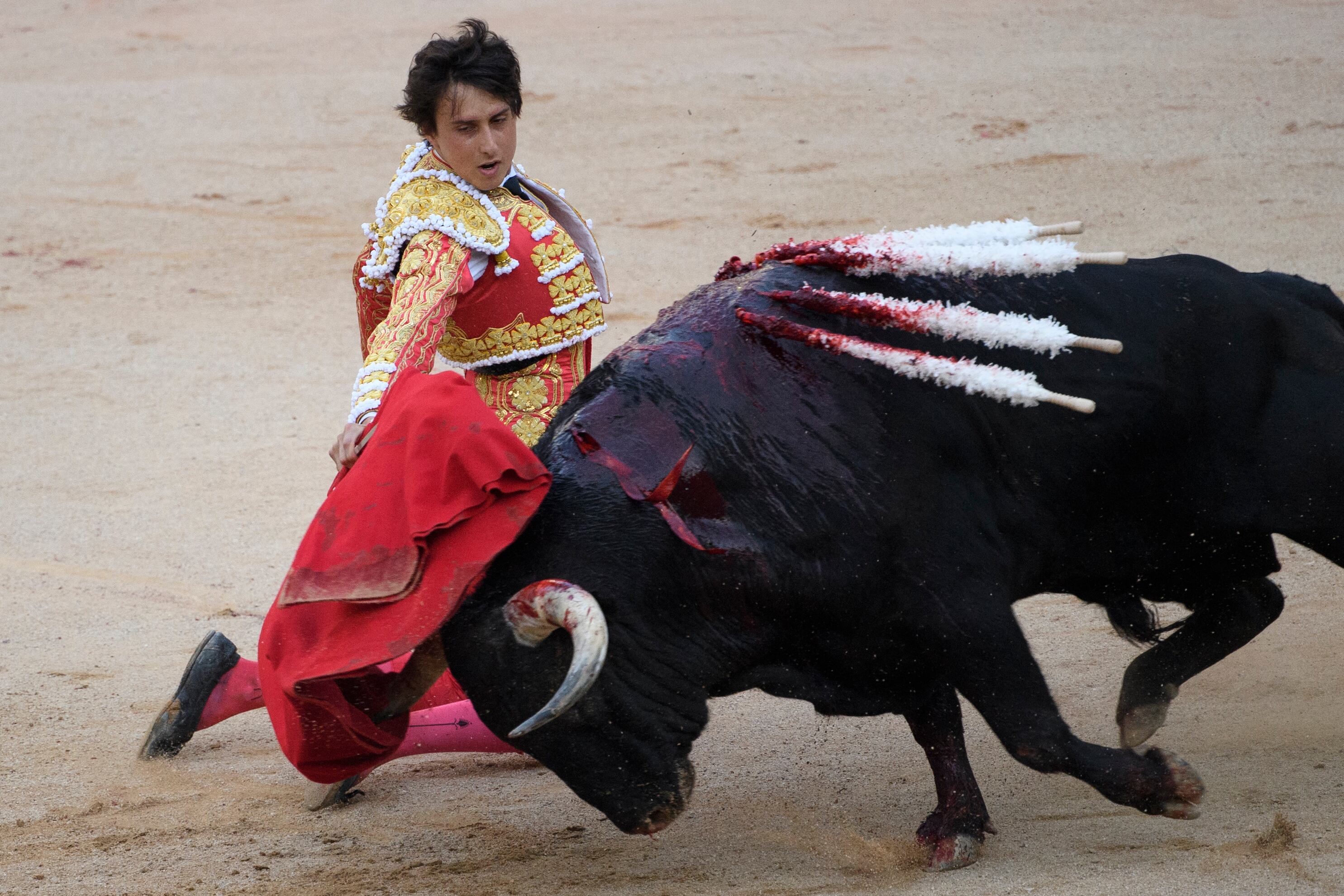 El torero Roca Rey será una de las estrellas del cartel taurino para las fiestas patronales de San Sebastián de los Reyes este mes de agosto.