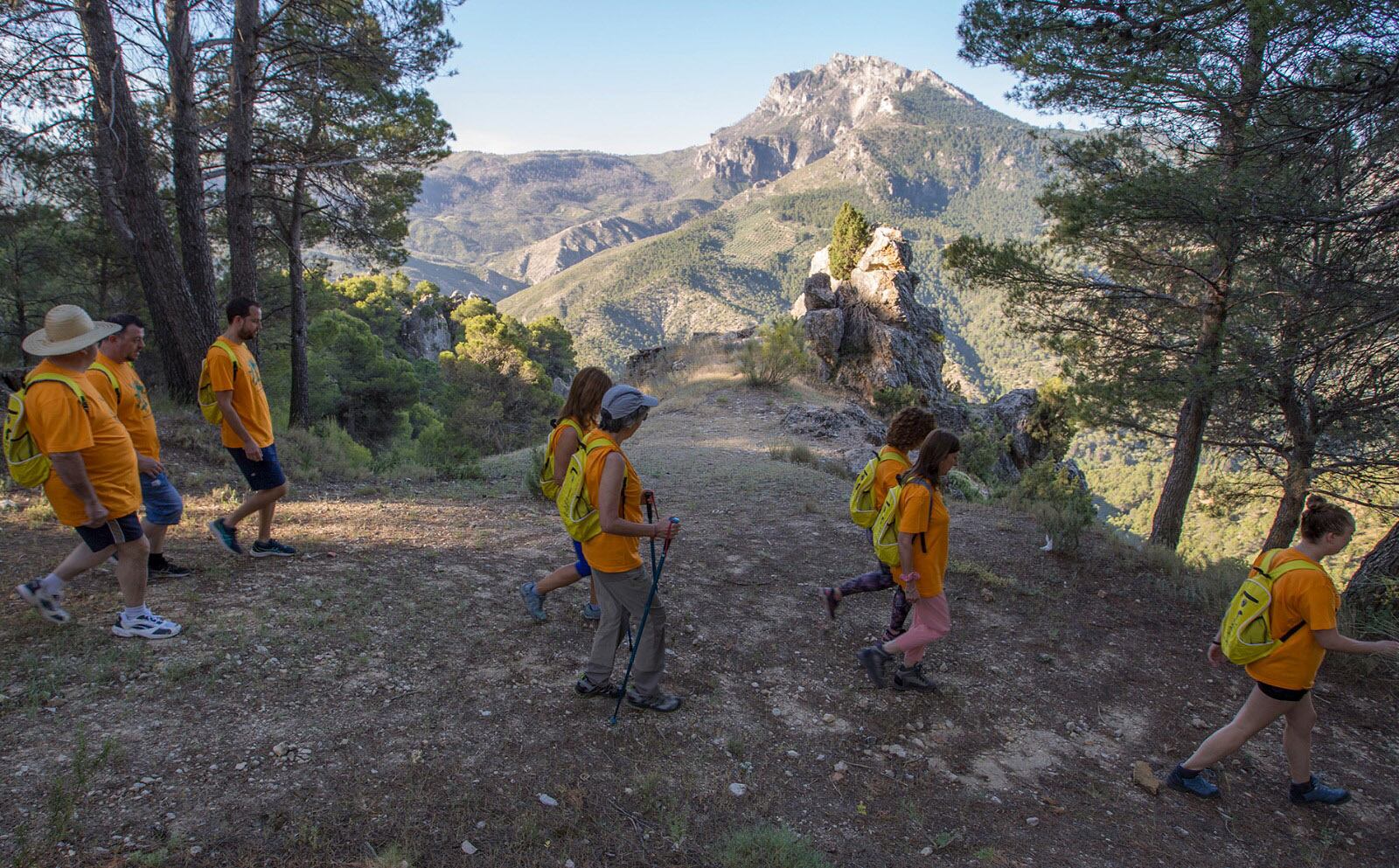 Participantes en la ruta de senderismo que se organiza con motivo del FIA &#039;El Yelmo&#039;.