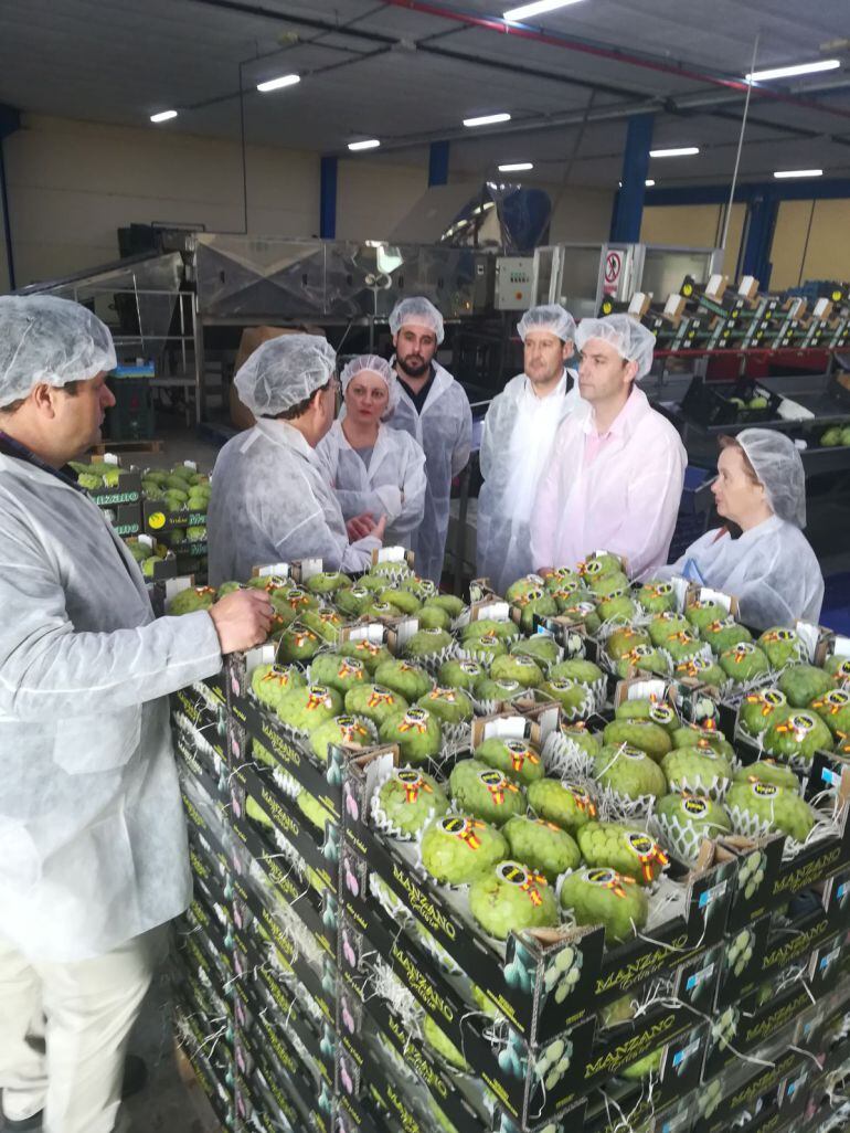 El delegado de agricultura, Manuel García, visita las instalaciones de Frutas Manzano de Salobreña