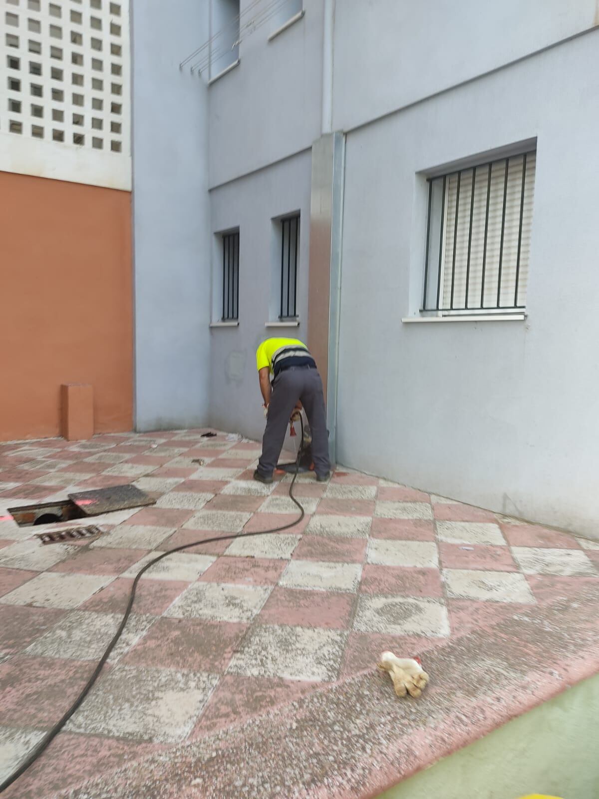 Trabajadores en plena faena