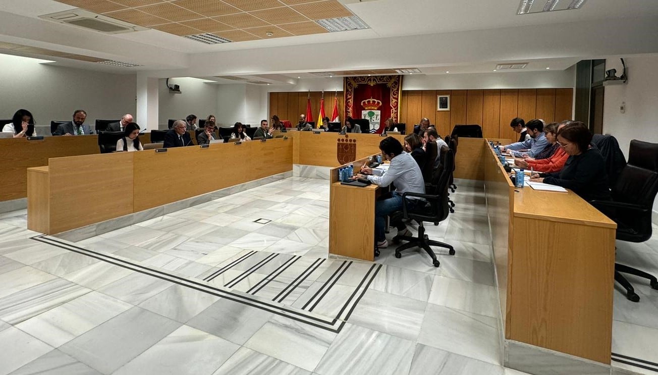 Pleno Municipal ordinario del mes de febrero en San Sebastián de los Reyes