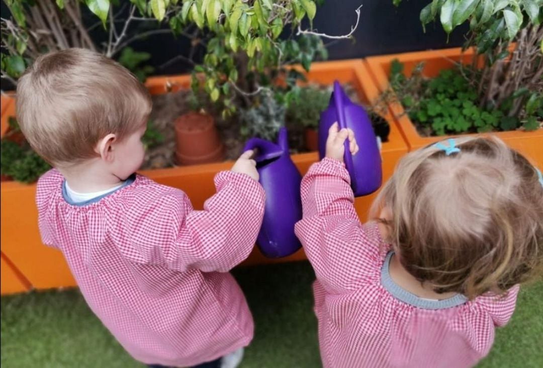 Plantas aromáticas entre los escolares de Infantil y Primaria 