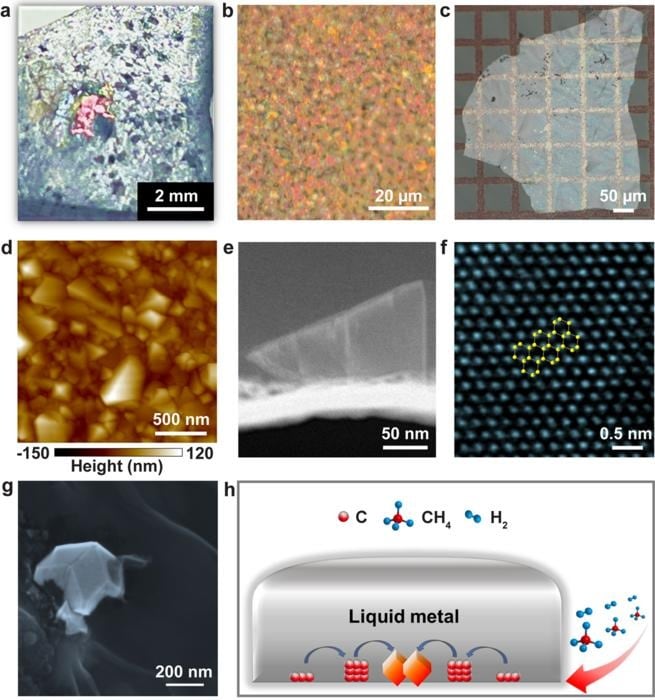  (a) el diamante tal como creció en la superficie de metal líquido solidificado. (b)  la película de diamante continua creciendo. (c y d) la película de diamante transferida en una rejilla  (e)  una partícula de diamante a medida que crece. (f) el diamante. (g) el diamante sumergido en el metal líquido solidificado. h) Esquema que muestra la difusión del carbono que conduce al crecimiento 