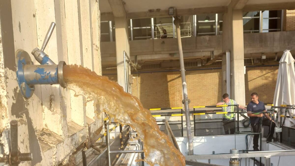 Con una copa de vino en la Ser, la vendimia