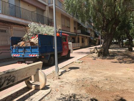 El servicio de jardinería se ha encargado de trocear y recoger el árbol caído en Elda