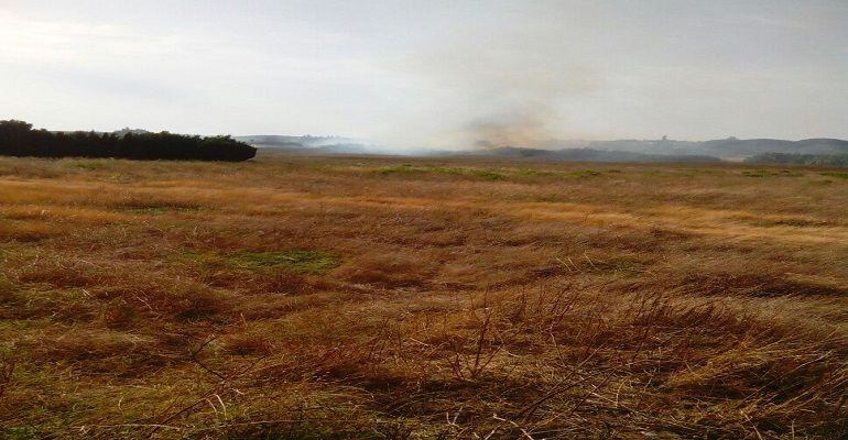 El incendio declarado esta mañana