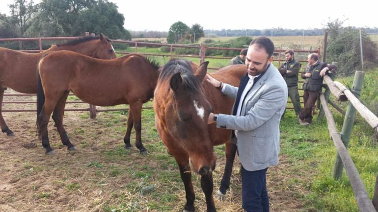 Pedro Hernández, Delegado de Agricultura en Huelva