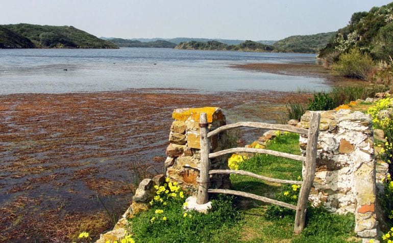 Se presenta el documento que regulará los usos del parque natural.