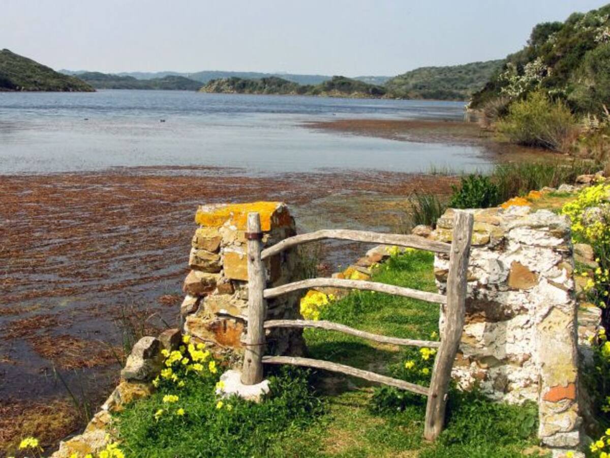 Sale a exposición pública el Plan Rector de usos de s'Albufera des Grau