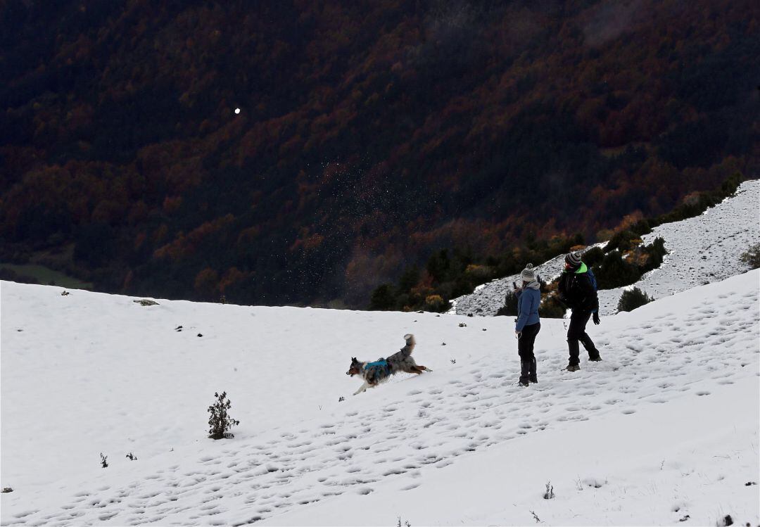 Dos personas juegan con su perro en El Ferial en Belagoa, que tras la nevada de esta madrugada ha dejado espesores de 10 cm.