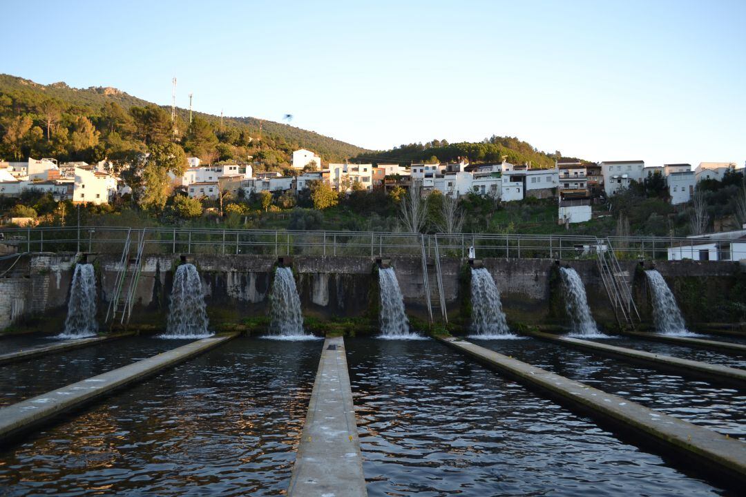 Imatge d'una piscifatoria