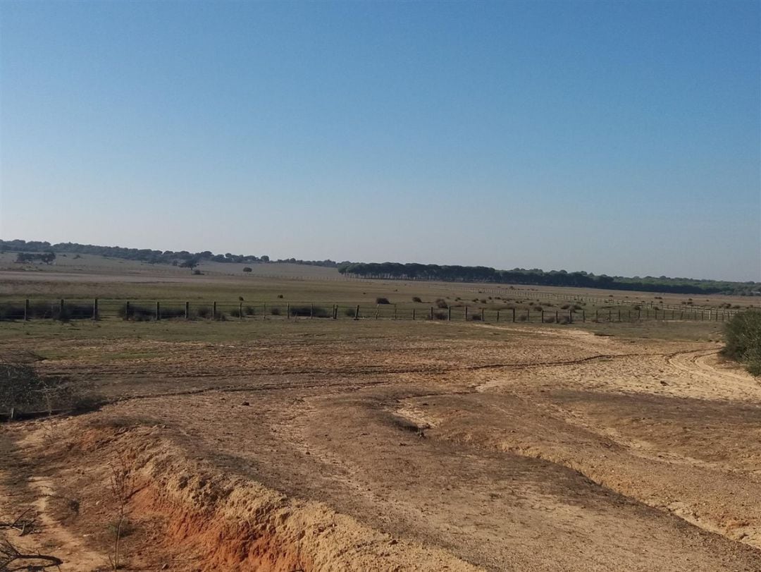 Paisaje seco de la provincia de Cádiz