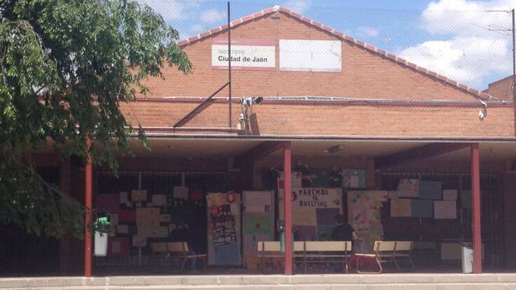 “Hay problemas de convivencia e inseguridad por la masificación del instituto”