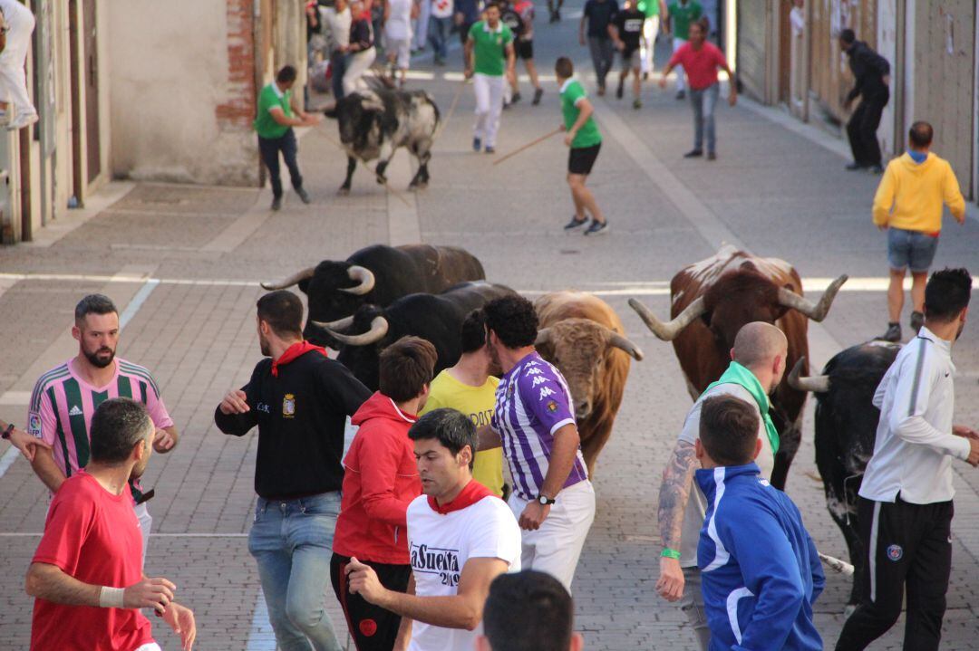 Los corredores participan en uno de los encierros de Cuéllar en la calle Parras en 2019