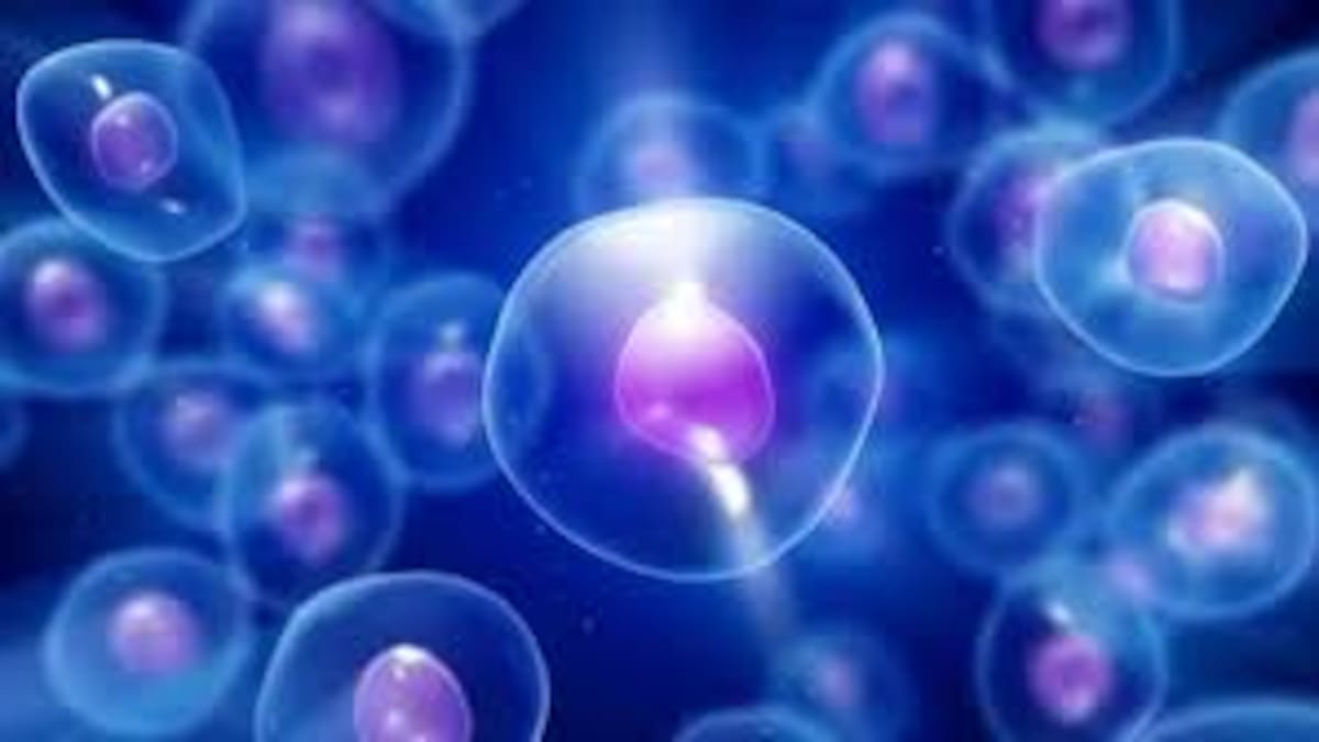 Hoy por Hoy Zaragoza Y la ciencia (15/04/26)