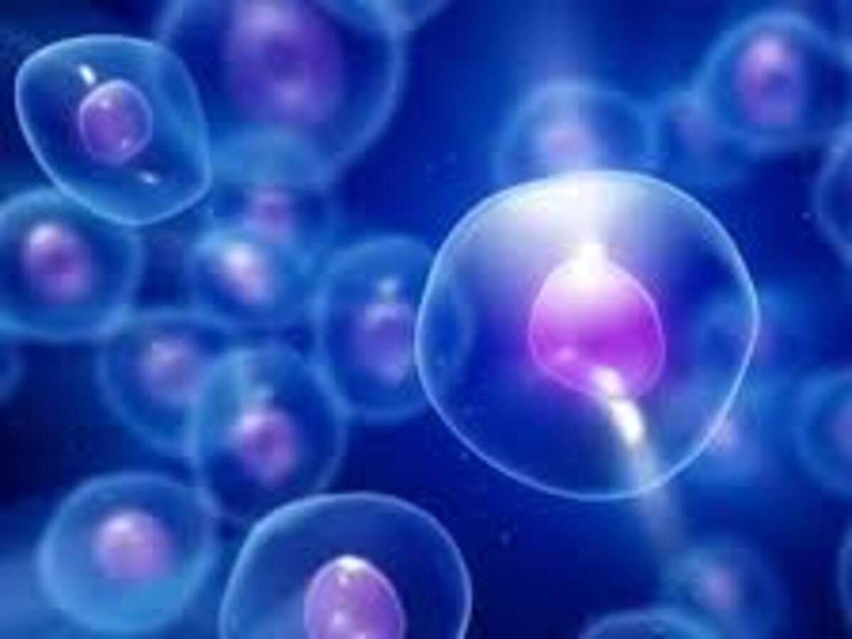 Zaragoza se convierte en epicentro de la ciencia aplicada a la vida, el cine y la salud