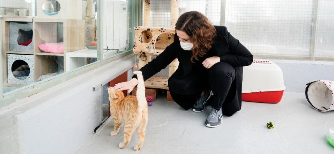Isabel Díaz Ayuso durante su visita al Centro Integral de Acogida de Animales situado en Colmenar Viejo. 