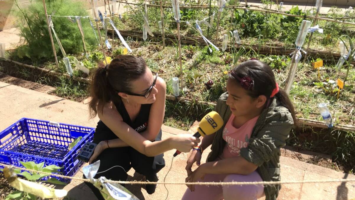 Los huerto escolares