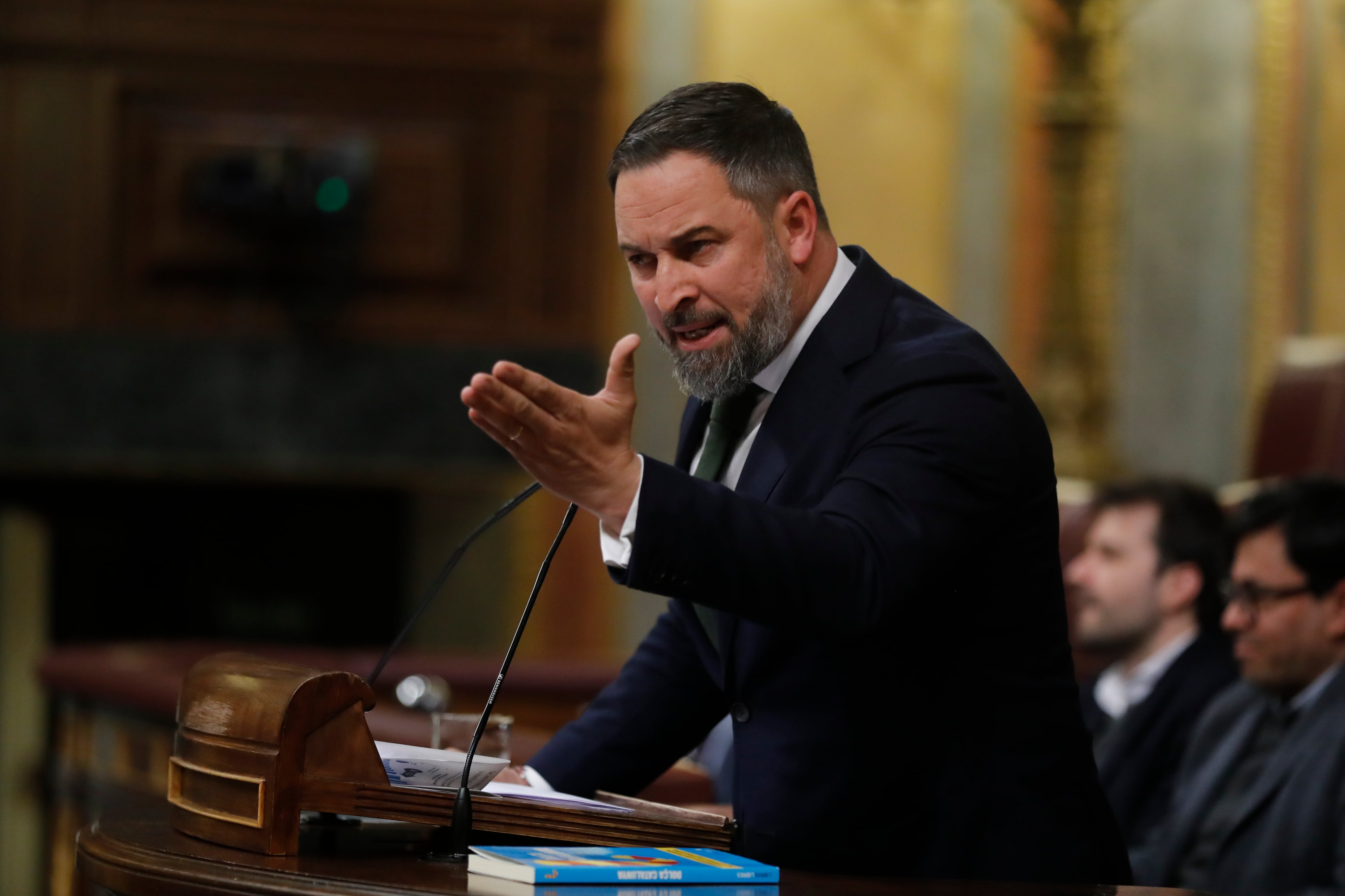 El líder de Vox, Santiago Abascal. EFE/ Juan Carlos Hidalgo